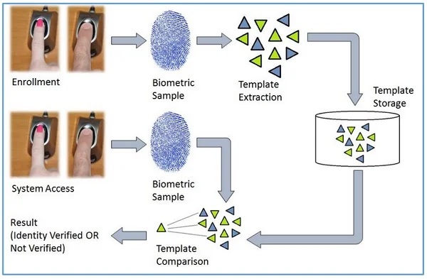 Biometric